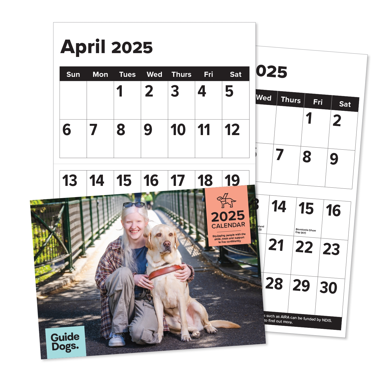 2025 a3 calendar sale large print guide dogs queensland