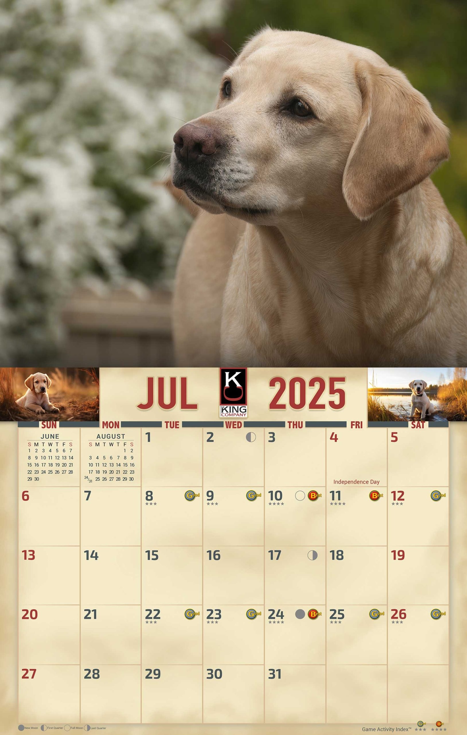 2025 Yellow Lab Dog Wall Calendar The KING Company 2025 Yellow Lab Dog Wall Calendar The KING Company