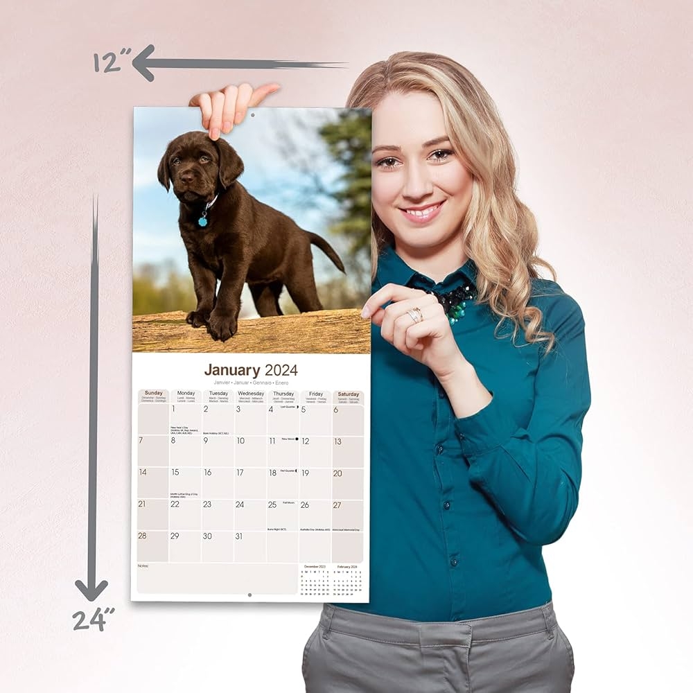 Calendar Lab Printable Calendar Lab Printable