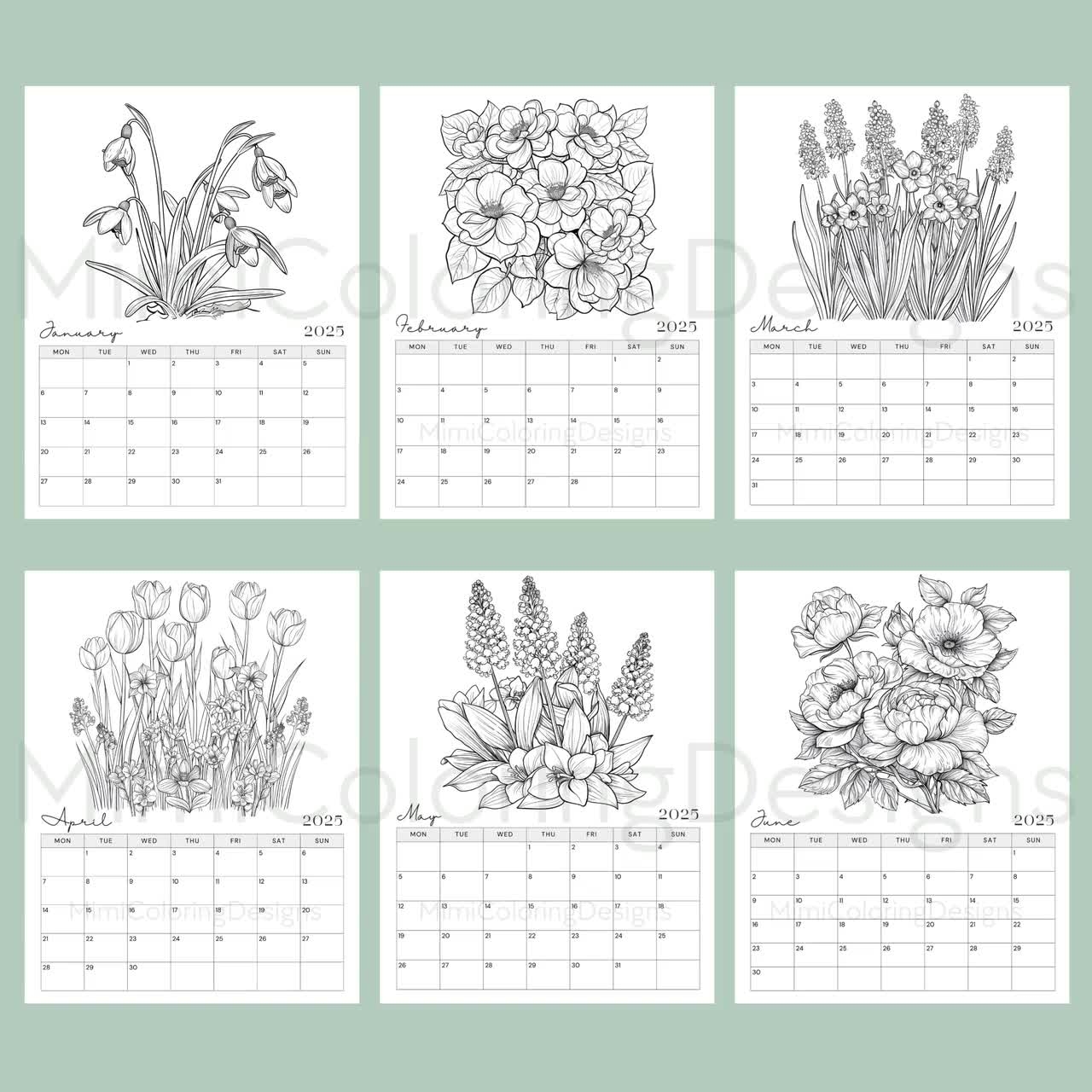 Floral Coloring Calendar 2025 Printable 2025 Monthly Planner Flower Calendar Botanical Flower Lover Gift Wall Calendar Printable PDF Etsy