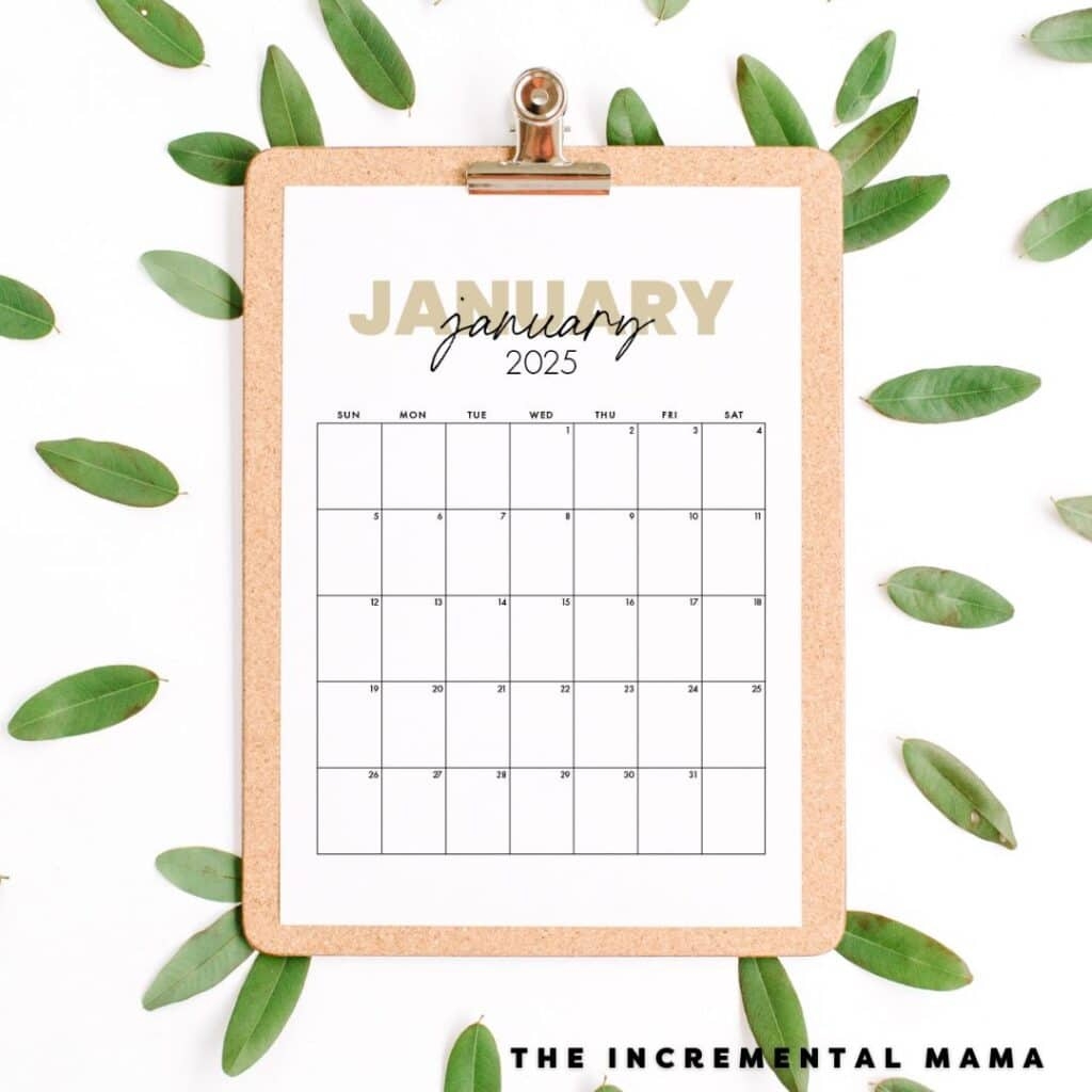 Printable Monthly Calendar Cute