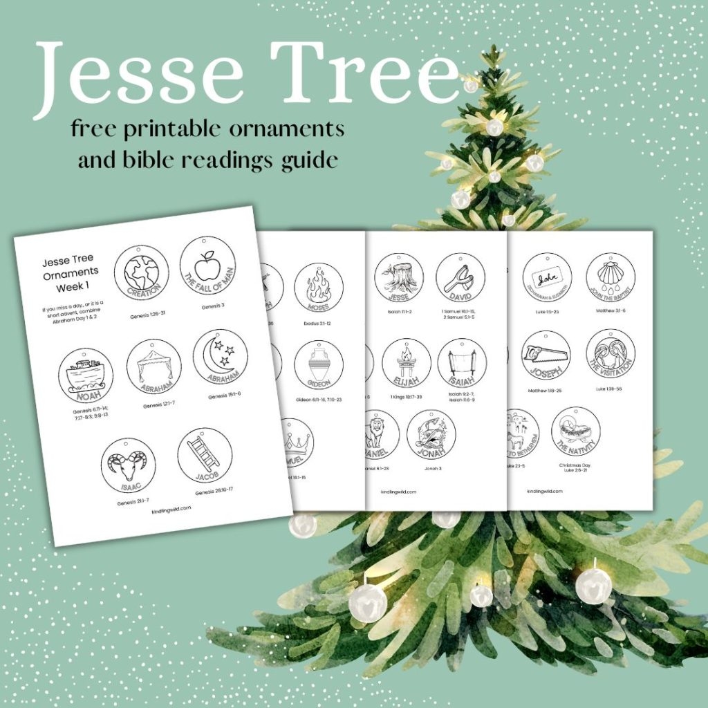 Jesse Tree Advent Tradition Free Printable Colouring Kindling Wild
