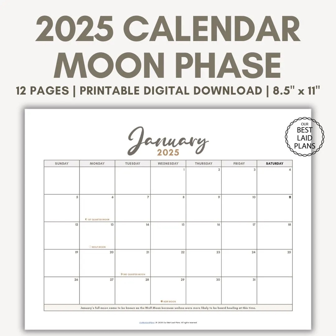 Moon Phase Calendar 2025 Printable PDF Moon Phase Calendar Page Boho Moon Phase Calendar Pink Moon Phase Today Calendar DOWNLOAD Etsy
