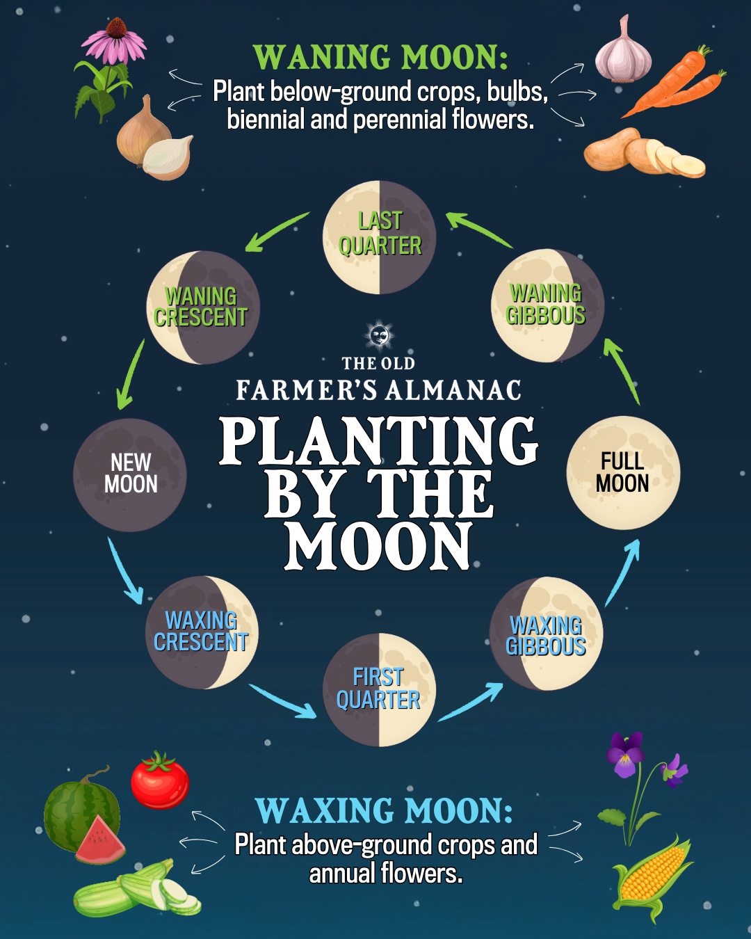 Printable 2025 Moon Planting Calendar