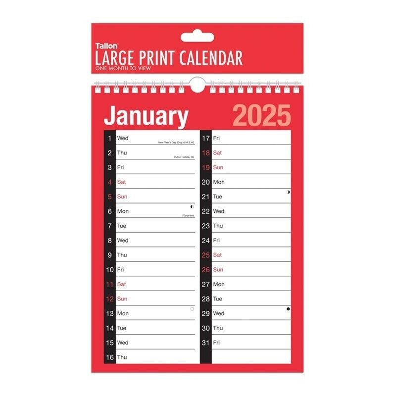 2025 Calendar Wall Calendar Large Print Calendar Planner On Month To View 3803 5055362911179 EBay