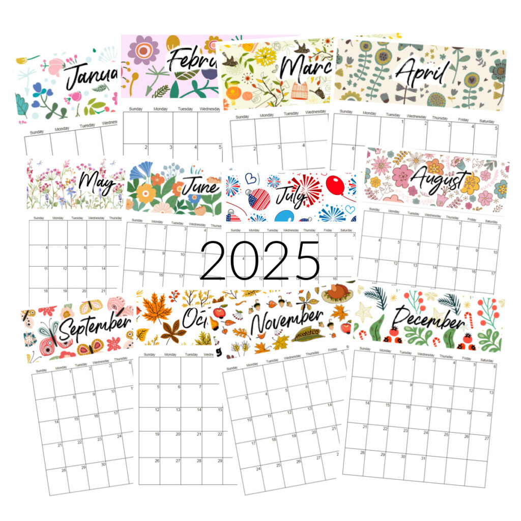 12 Month 2025 Printable Calendar