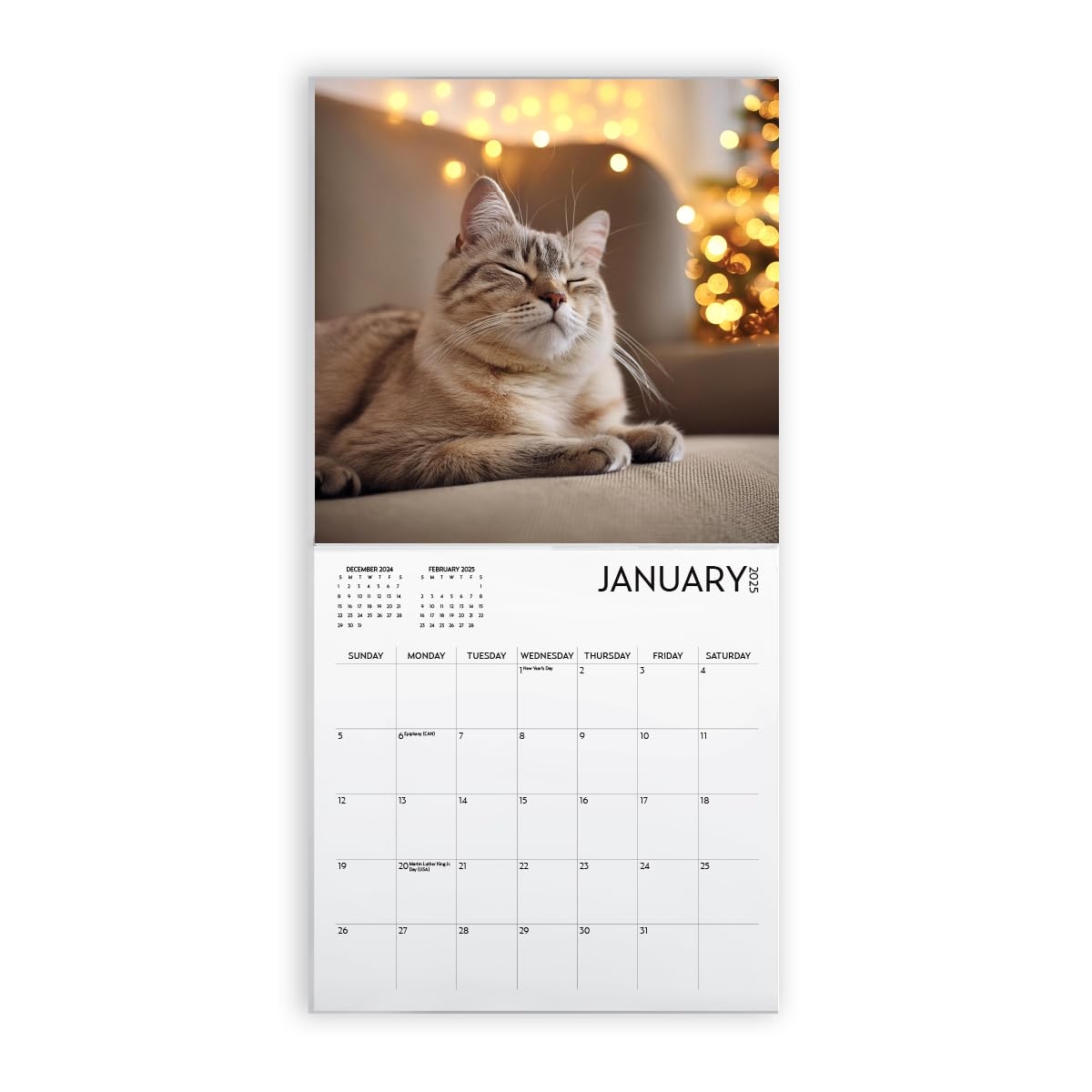 Amazon Cat Calendar 2025 With Sticker Pack Kitten Square Large Wall Calendar 12 X 12 Inch Yearly Cat Lover s Calendar And Sticker Set Office Products