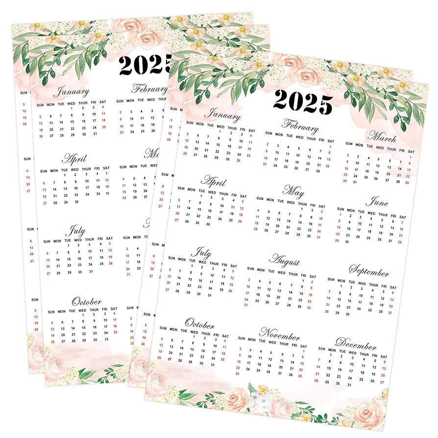 Amazon Mini 2025 Schedule Calendar Stickers 12 Monthly Planner Date Page Sticker Open Dated Monthly Planning Labels For Customizing Undated Planners Calendar 4 Pack Flower Office Products