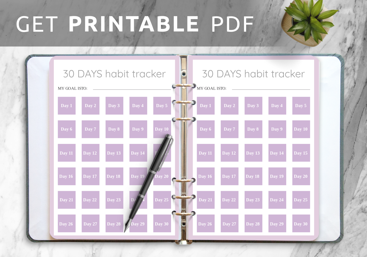 Free Printable 30 Day Challenge Calendar