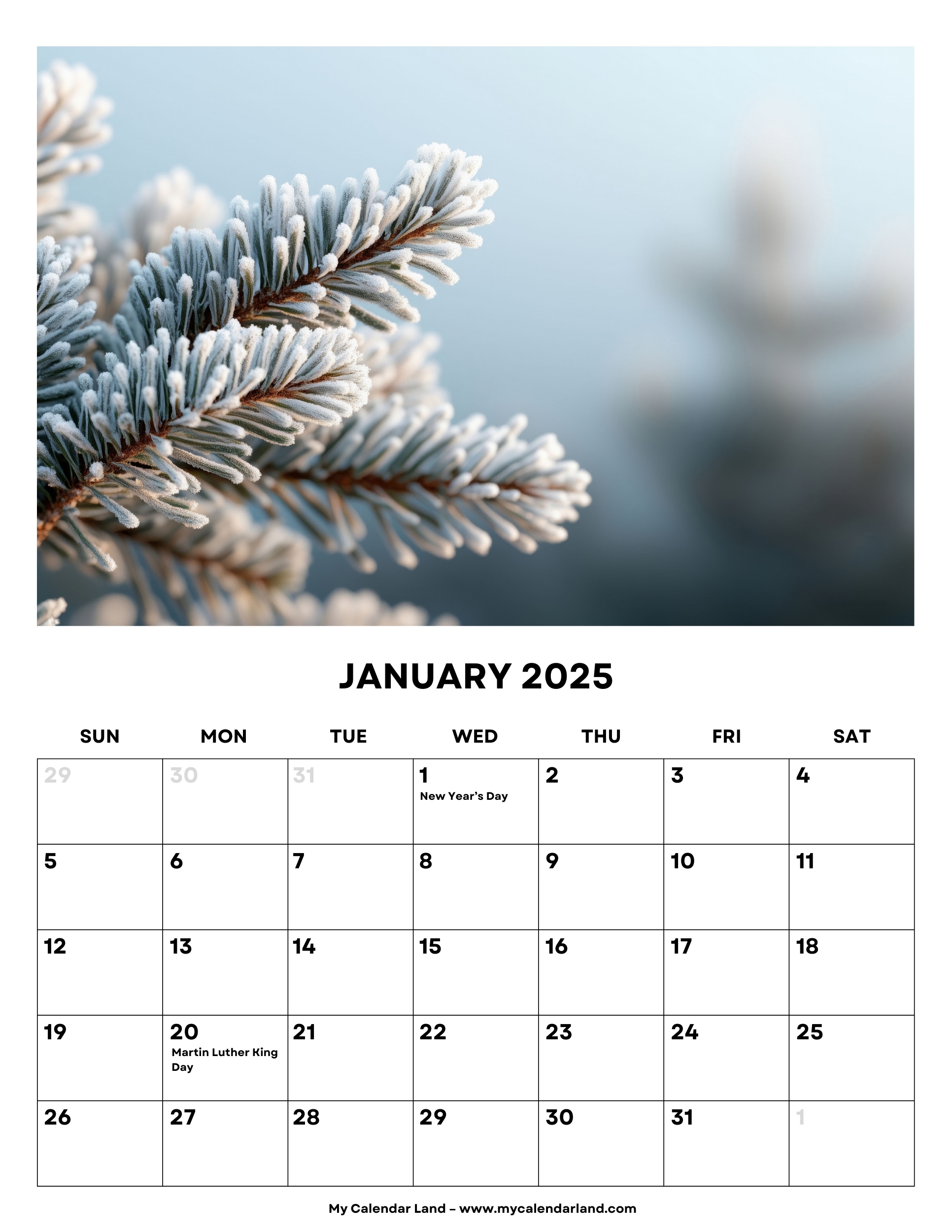 January 2025 Calendar My Calendar Land
