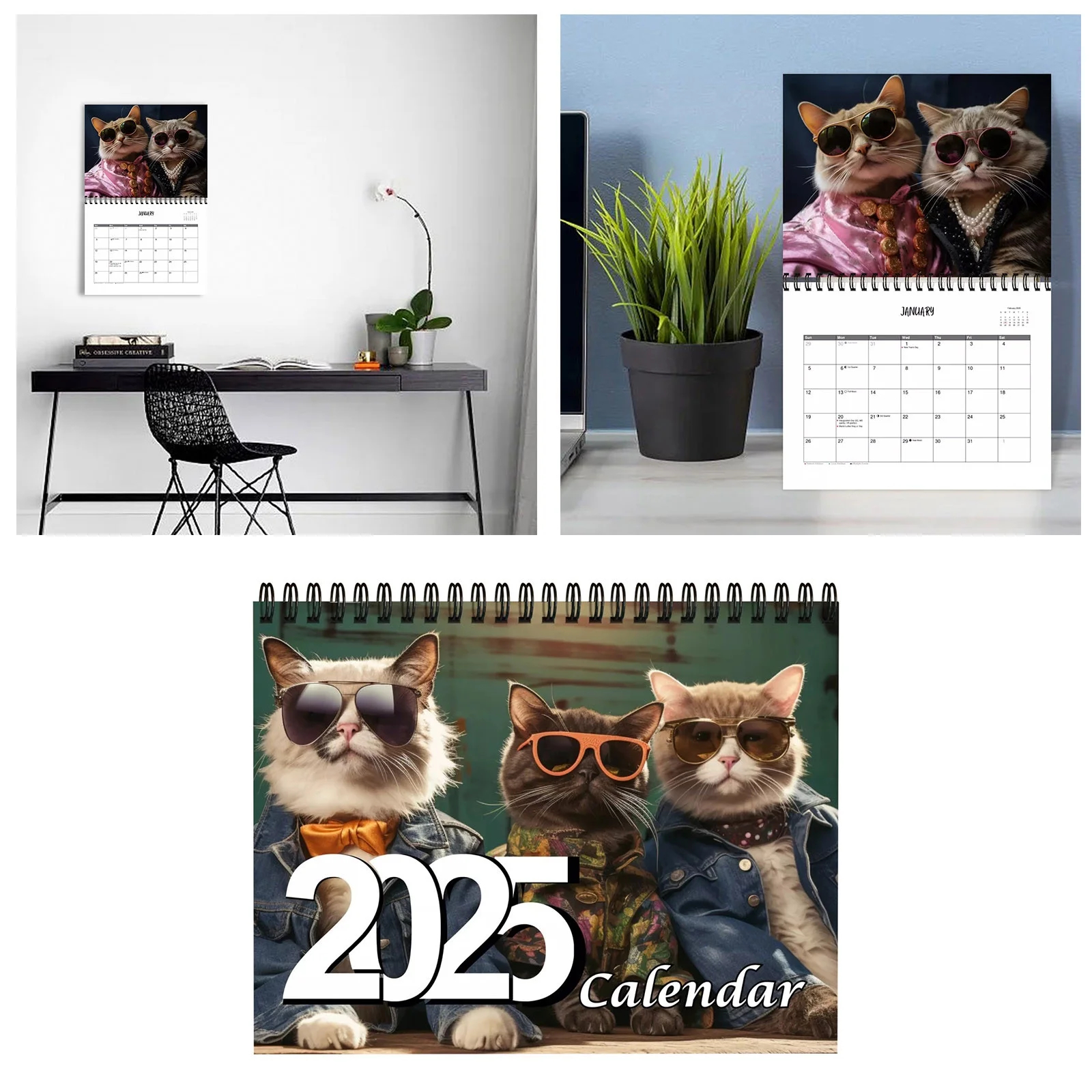 Stylish Cats Calendar 2025 Chic Feline Friends In Sunglasses Denim Jackets Monthly Planner With Print Spiral Binding For Home Walmart